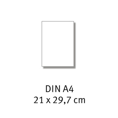 S/W Kopien DIN A4 einseitig | Express